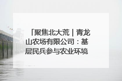 聚焦北大荒｜青龙山农场有限公司：基层民兵参与农业环境综合治理显效
