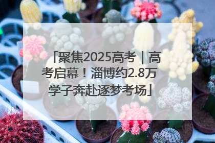 聚焦2025高考｜高考启幕！淄博约2.8万学子奔赴逐梦考场
