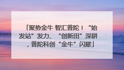 聚势金牛 智汇普陀〡“始发站”发力、“创新田”深耕，普陀科创“金牛”闪耀