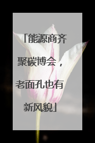 能源商齐聚碳博会，老面孔也有新风貌