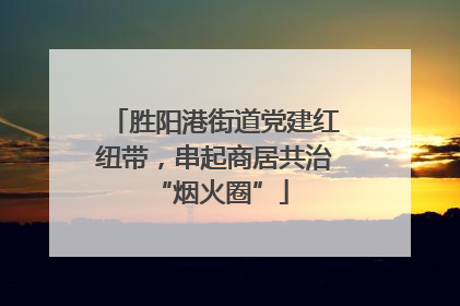 胜阳港街道党建红纽带，串起商居共治 “烟火圈”