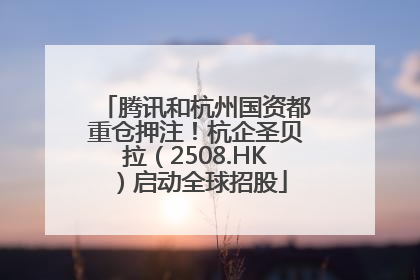 腾讯和杭州国资都重仓押注！杭企圣贝拉（2508.HK）启动全球招股