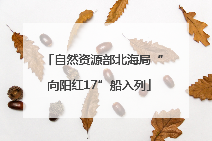 自然资源部北海局“向阳红17”船入列