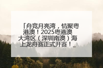 舟竞月亮湾，情聚粤港澳！2025粤港澳大湾区（深圳南澳）海上龙舟赛正式开赛！_深圳新闻网