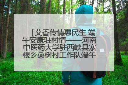 艾香传情惠民生 端午安康驻村情——河南中医药大学驻西峡县寨根乡桑树村工作队端午中医惠民记