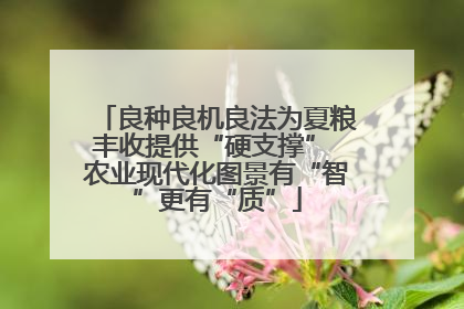 良种良机良法为夏粮丰收提供“硬支撑” 农业现代化图景有“智”更有“质”