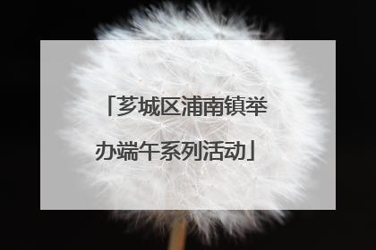 芗城区浦南镇举办端午系列活动