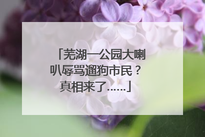 芜湖一公园大喇叭辱骂遛狗市民？真相来了……