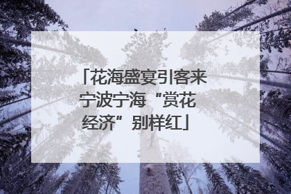 花海盛宴引客来 宁波宁海“赏花经济”别样红