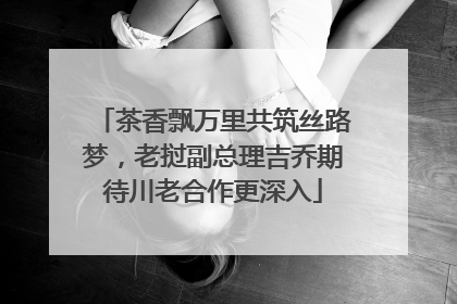 茶香飘万里共筑丝路梦，老挝副总理吉乔期待川老合作更深入