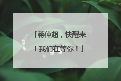蒋仲超，快醒来！我们在等你！