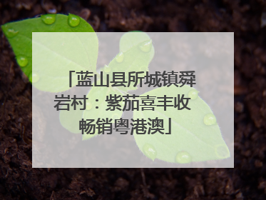 蓝山县所城镇舜岩村：紫茄喜丰收 畅销粤港澳