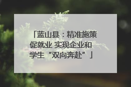 蓝山县：精准施策促就业 实现企业和学生“双向奔赴”