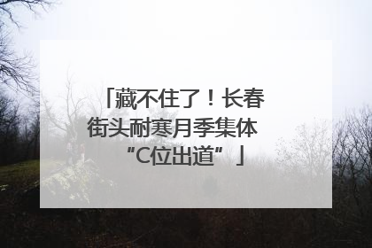 藏不住了！长春街头耐寒月季集体“C位出道”