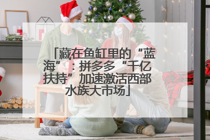 藏在鱼缸里的“蓝海”：拼多多“千亿扶持”加速激活西部水族大市场