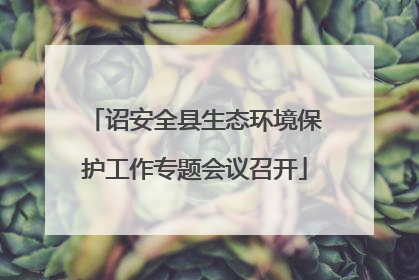 诏安全县生态环境保护工作专题会议召开