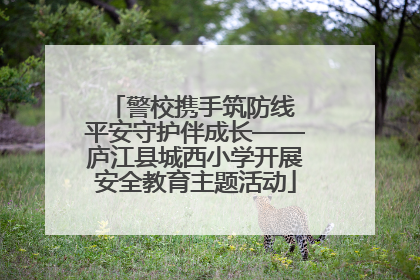 警校携手筑防线 平安守护伴成长——庐江县城西小学开展安全教育主题活动