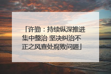 许勤：持续纵深推进集中整治 坚决纠治不正之风查处腐败问题