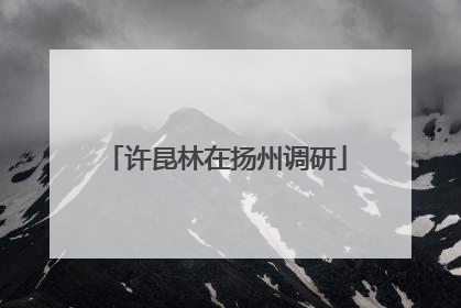 许昆林在扬州调研
