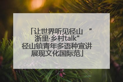 让世界听见径山 “浙里·乡村talk”径山镇青年多语种宣讲展现文化国际范