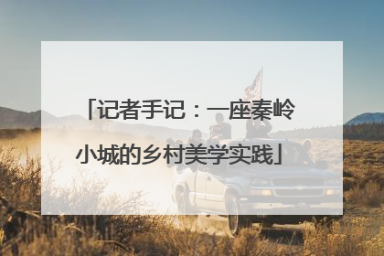 记者手记：一座秦岭小城的乡村美学实践