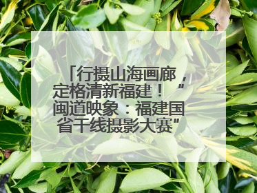 行摄山海画廊，定格清新福建！“闽道映象：福建国省干线摄影大赛”火热开启！
