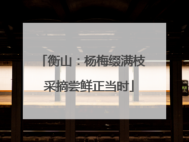 衡山：杨梅缀满枝 采摘尝鲜正当时
