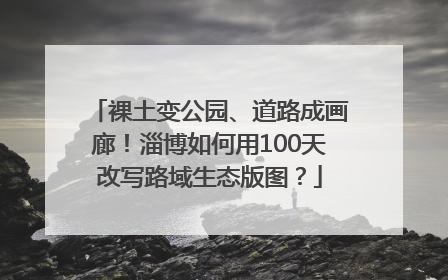 裸土变公园、道路成画廊！淄博如何用100天改写路域生态版图？