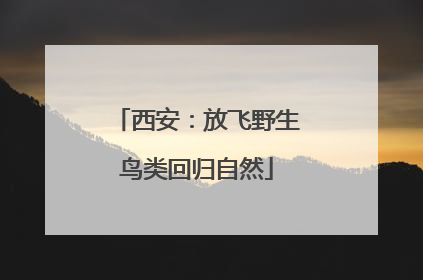 西安：放飞野生鸟类回归自然