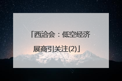 西洽会：低空经济展商引关注(2)