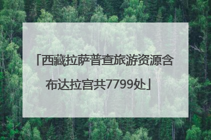 西藏拉萨普查旅游资源含布达拉宫共7799处