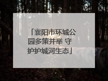 襄阳市环城公园多策并举 守护护城河生态