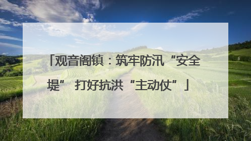 观音阁镇：筑牢防汛“安全堤” 打好抗洪“主动仗”