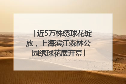 近5万株绣球花绽放，上海滨江森林公园绣球花展开幕
