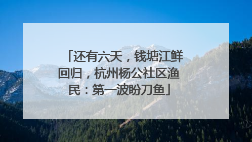 还有六天，钱塘江鲜回归，杭州杨公社区渔民：第一波盼刀鱼