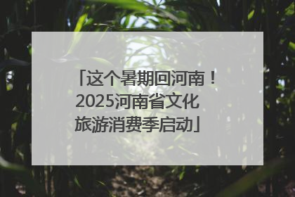 这个暑期回河南！2025河南省文化旅游消费季启动