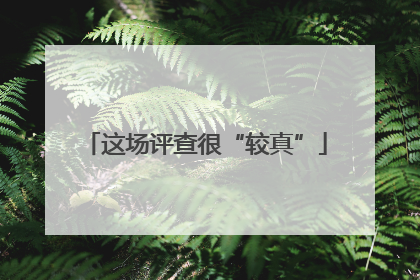 这场评查很“较真”