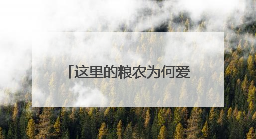 这里的粮农为何爱种“面包小麦”？