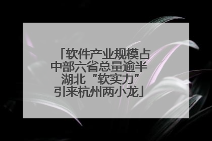 软件产业规模占中部六省总量逾半 湖北“软实力”引来杭州两小龙