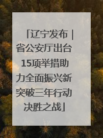 辽宁发布｜省公安厅出台15项举措助力全面振兴新突破三年行动决胜之战