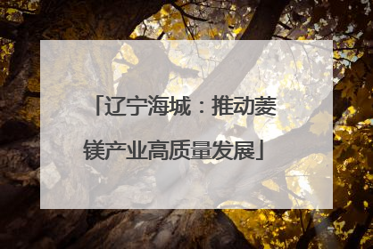 辽宁海城：推动菱镁产业高质量发展