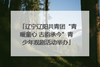 辽宁辽阳共青团“青暖童心 古韵承今”青少年观剧活动举办