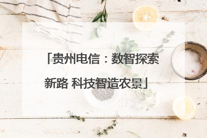 贵州电信：数智探索新路 科技智造农景