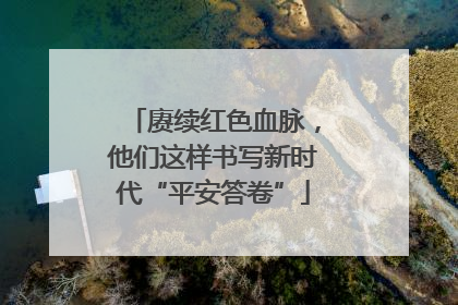 赓续红色血脉，他们这样书写新时代“平安答卷”