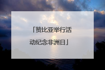 赞比亚举行活动纪念非洲日