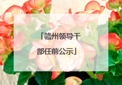 赣州领导干部任前公示