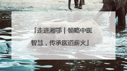 走进湘鄂｜领略中医智慧，传承医道薪火