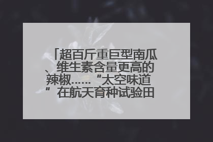 超百斤重巨型南瓜、维生素含量更高的辣椒……“太空味道”在航天育种试验田里拔节生长