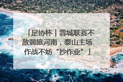 足协杯｜蓉城联赛不敌弱旅河南，泰山主场作战不妨“抄作业”