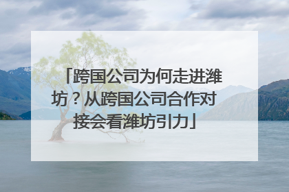 跨国公司为何走进潍坊？从跨国公司合作对接会看潍坊引力
